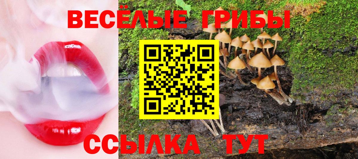 Псилоцибиновые грибы Psilocybe  Вход с VPN  Норильск  Псилоцибиновые грибы мицелий 